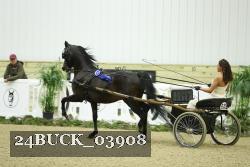 24BUCK_03908 proof