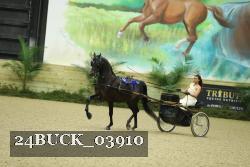 24BUCK_03910 proof