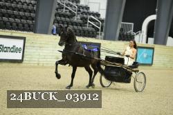 24BUCK_03912 proof
