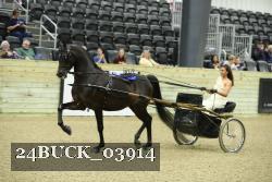 24BUCK_03914 proof