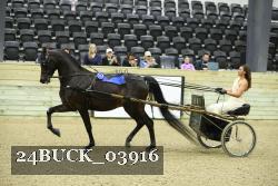 24BUCK_03916 proof