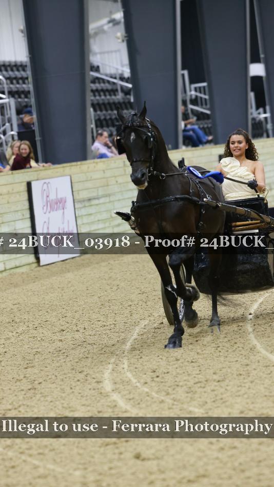 Proof 24BUCK_03918