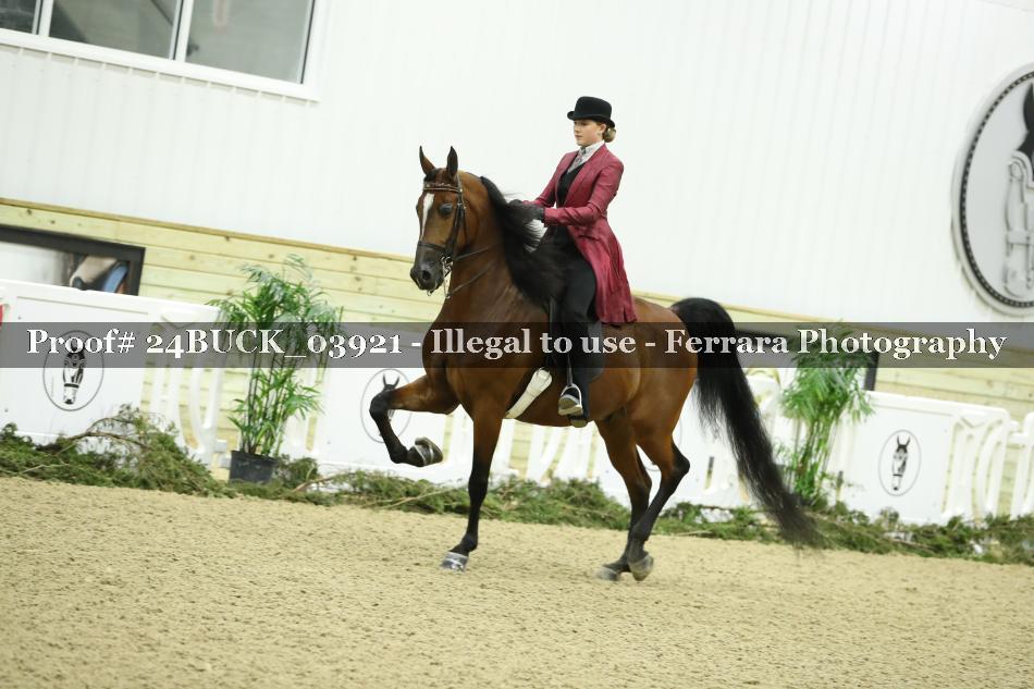 Proof 24BUCK_03921
