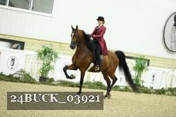 24BUCK_03921 proof