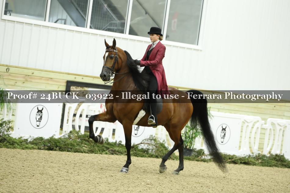 Proof 24BUCK_03922