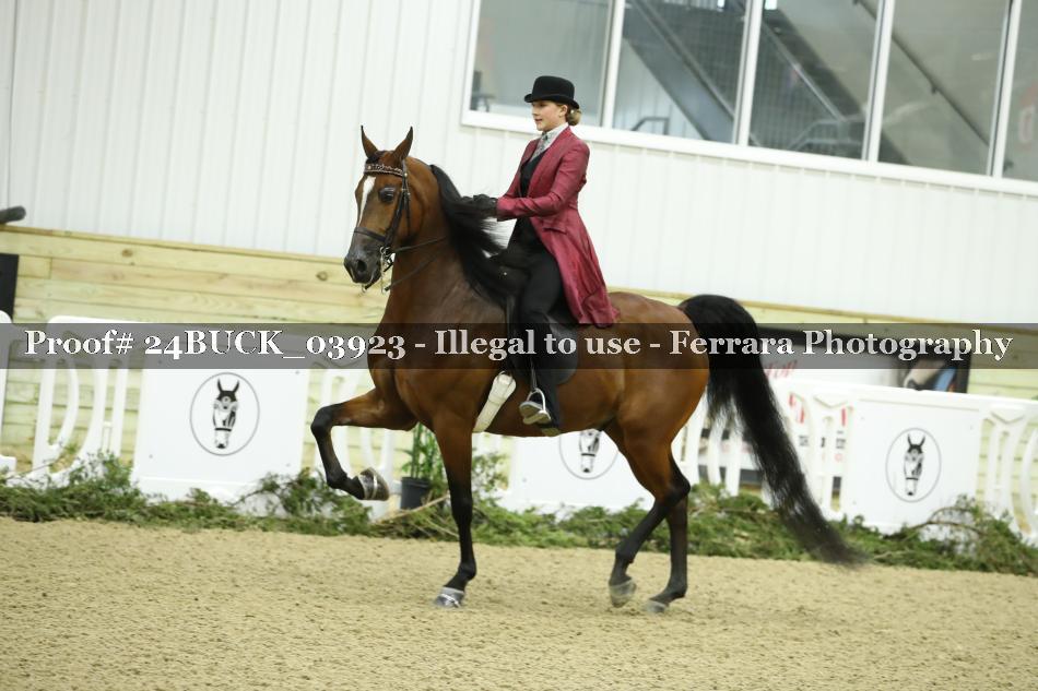 Proof 24BUCK_03923