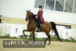 24BUCK_03923 proof