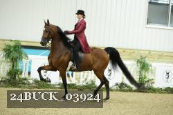 24BUCK_03924 proof