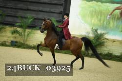 24BUCK_03925 proof