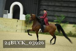 24BUCK_03926 proof