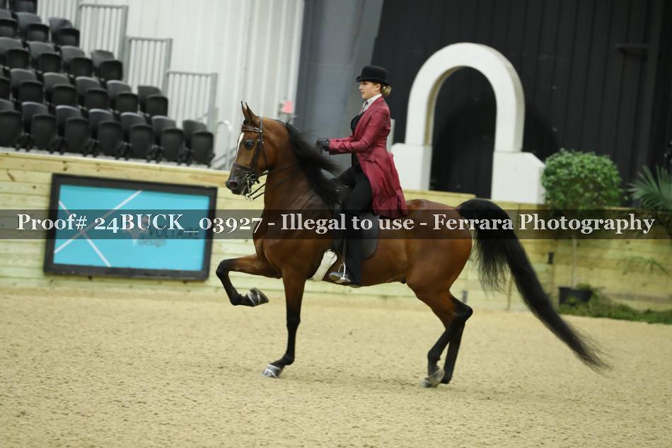 Proof 24BUCK_03927