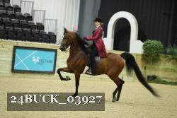 24BUCK_03927 proof