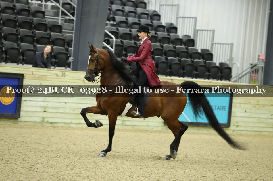 Proof 24BUCK_03928
