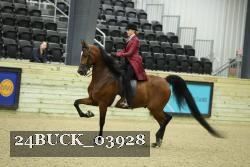 24BUCK_03928 proof