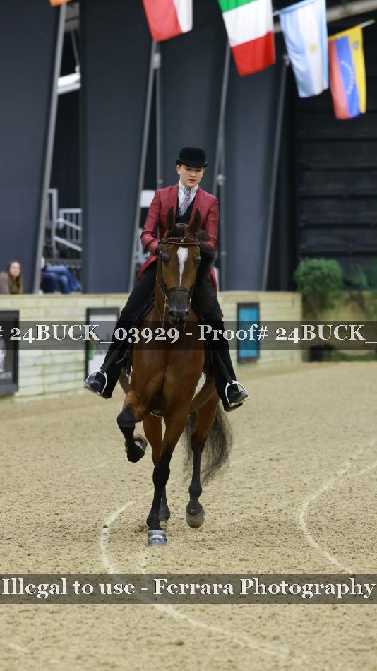 Proof 24BUCK_03929