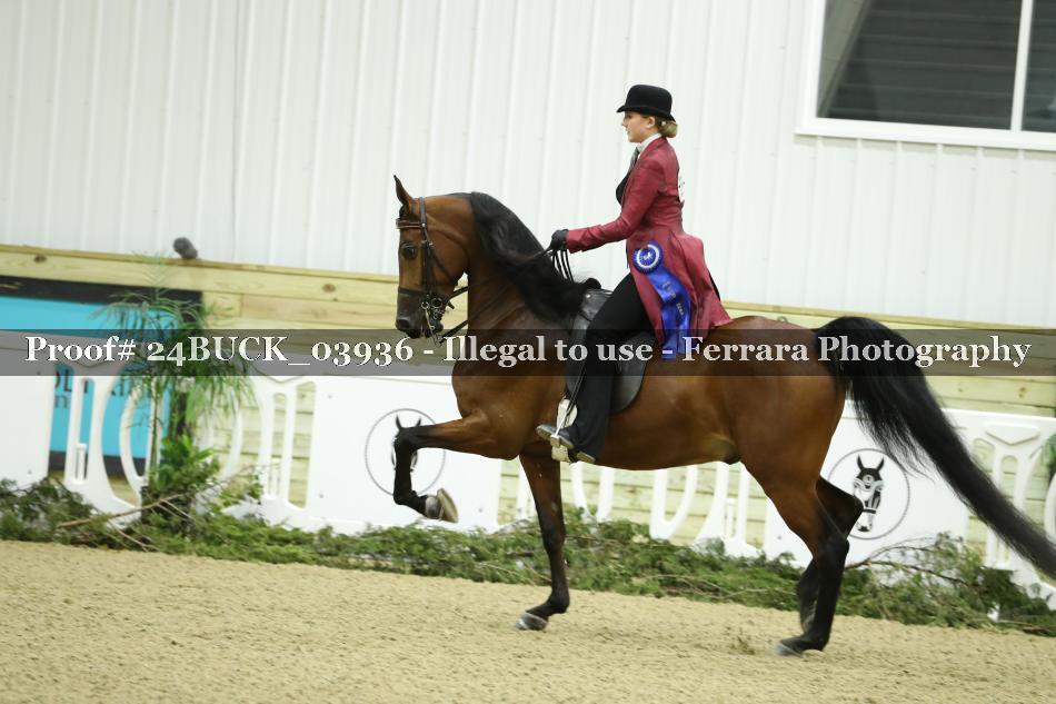 Proof 24BUCK_03936