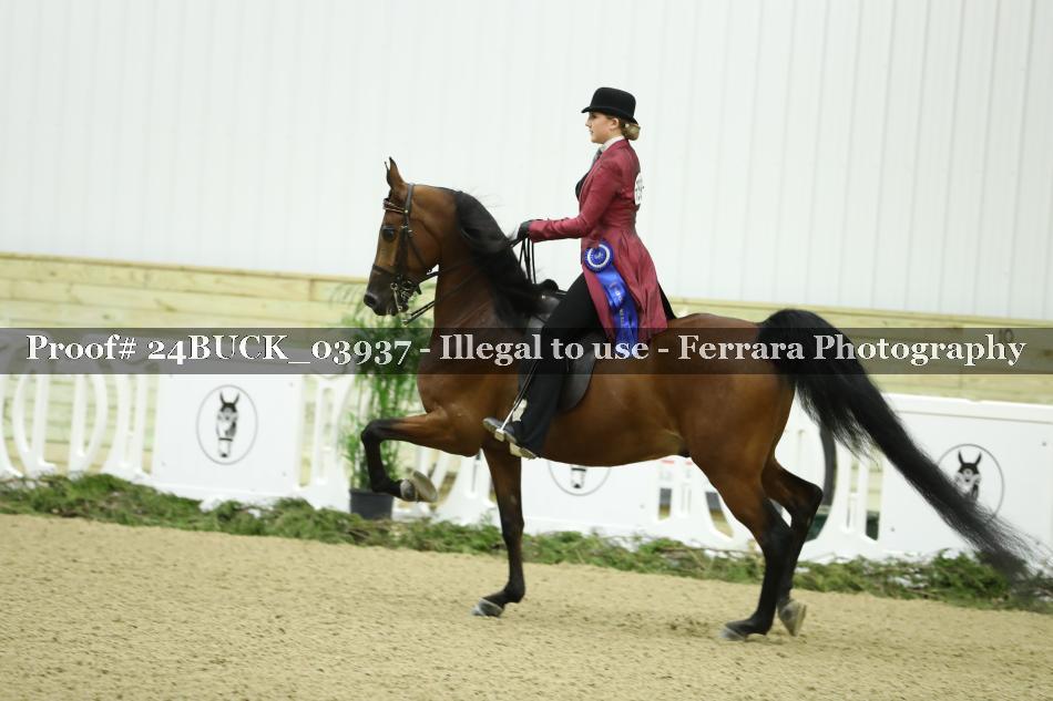 Proof 24BUCK_03937