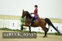 24BUCK_03937 proof