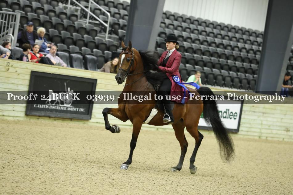Proof 24BUCK_03939
