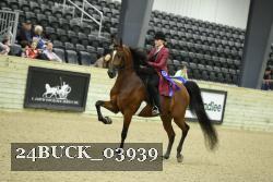 24BUCK_03939 proof
