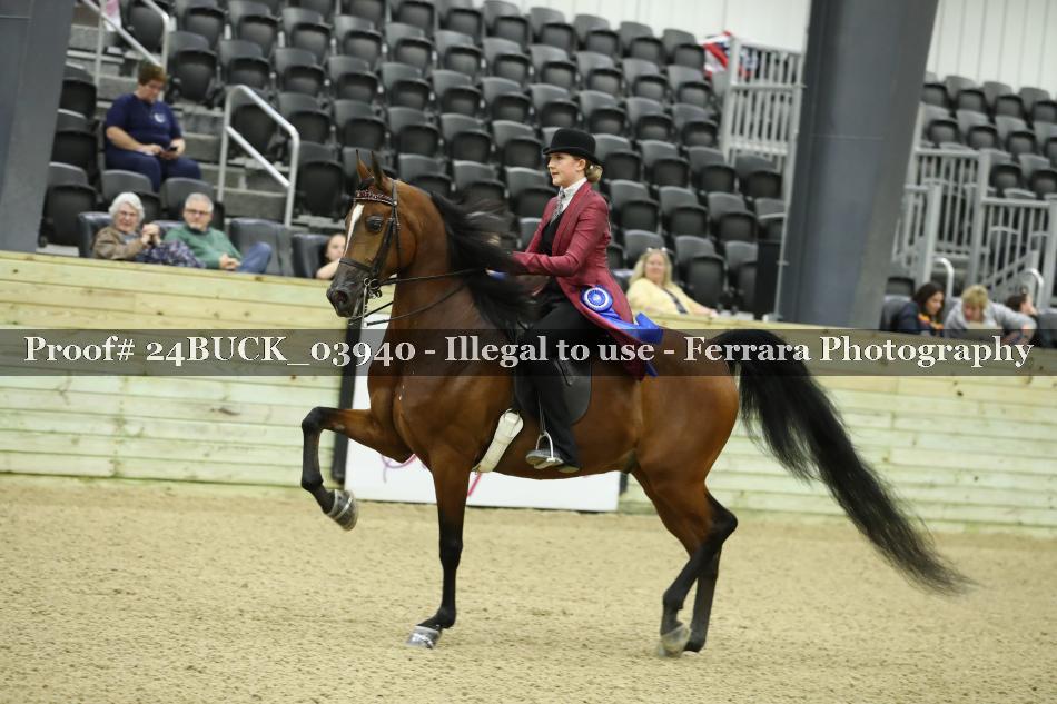 Proof 24BUCK_03940