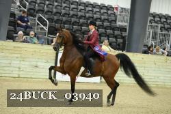 24BUCK_03940 proof