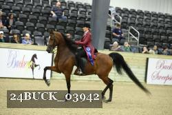 24BUCK_03942 proof