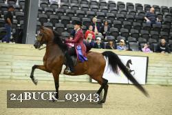 24BUCK_03943 proof