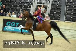 24BUCK_03945 proof