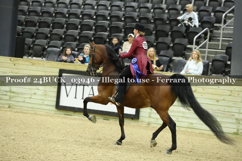 Proof 24BUCK_03946