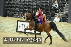 24BUCK_03946 proof