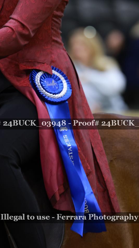Proof 24BUCK_03948