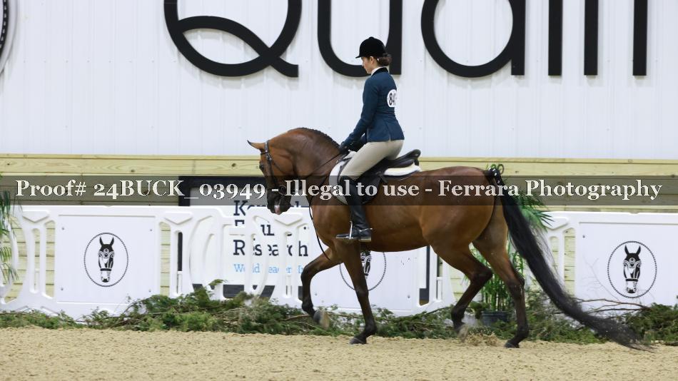 Proof 24BUCK_03949