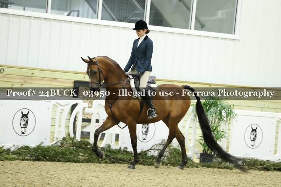 Proof 24BUCK_03950