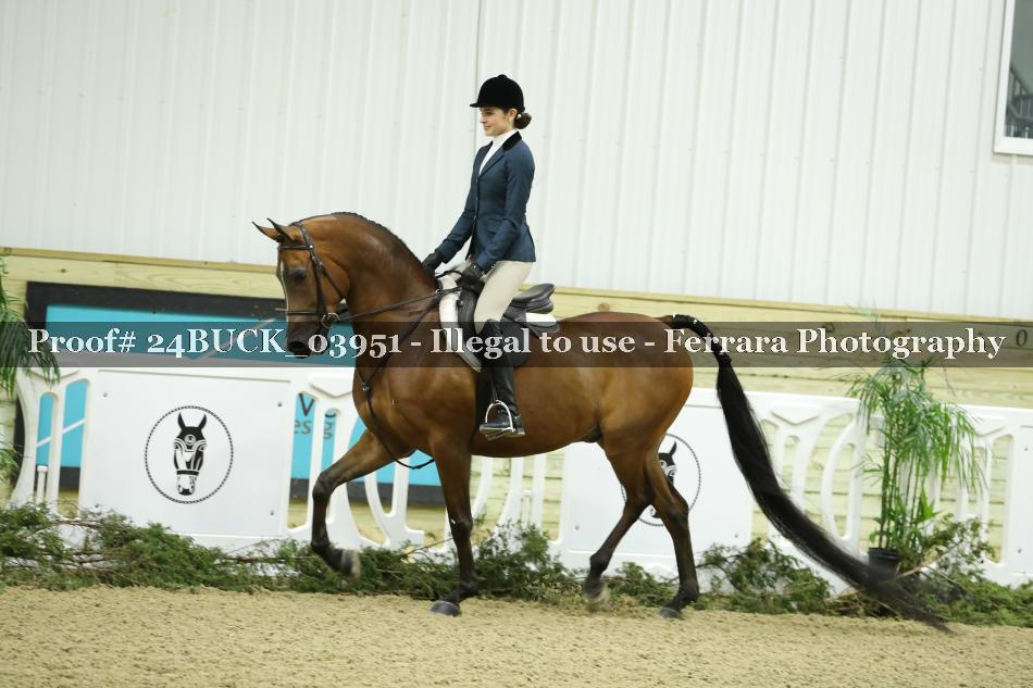 Proof 24BUCK_03951