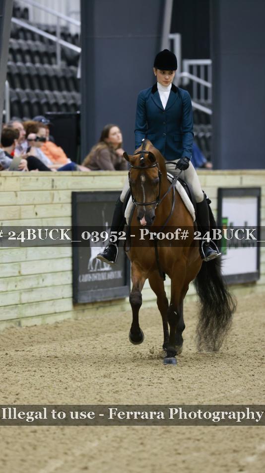 Proof 24BUCK_03952