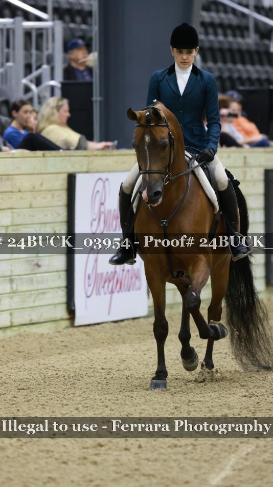 Proof 24BUCK_03954