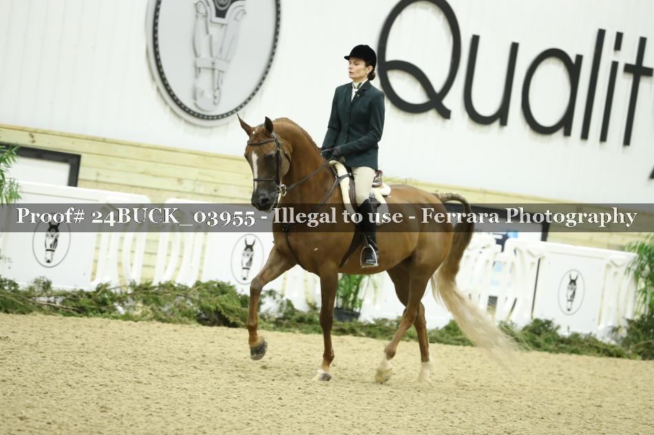 Proof 24BUCK_03955