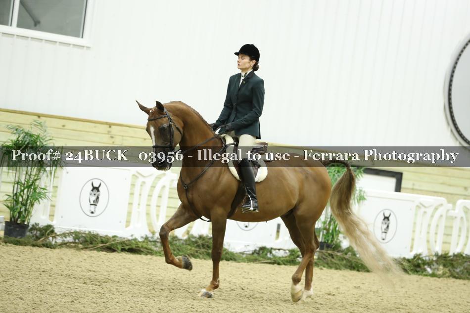 Proof 24BUCK_03956