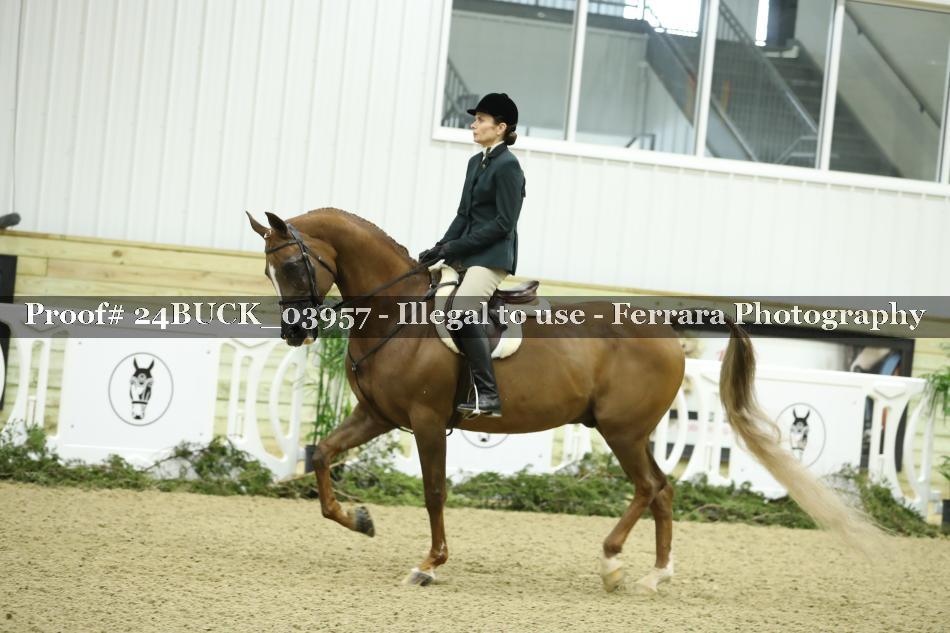 Proof 24BUCK_03957