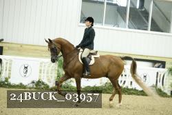 24BUCK_03957 proof