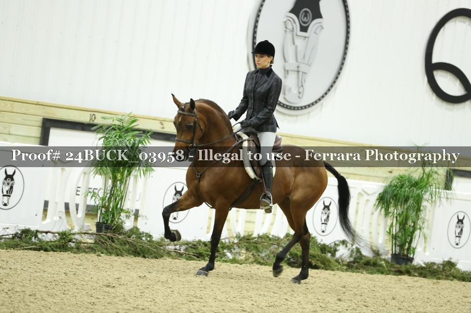 Proof 24BUCK_03958