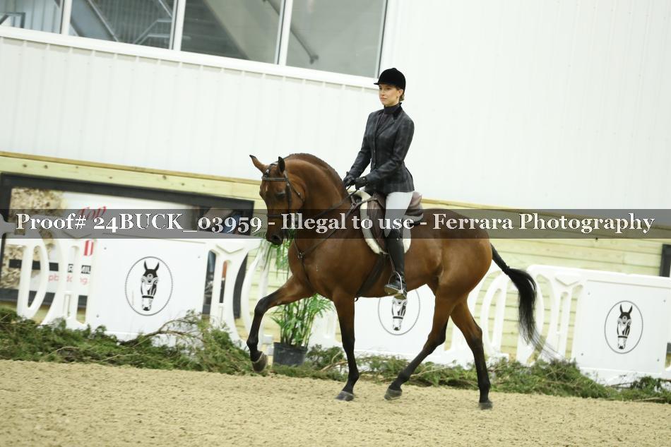Proof 24BUCK_03959