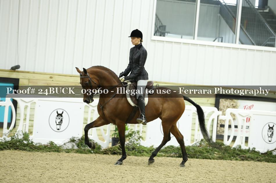 Proof 24BUCK_03960