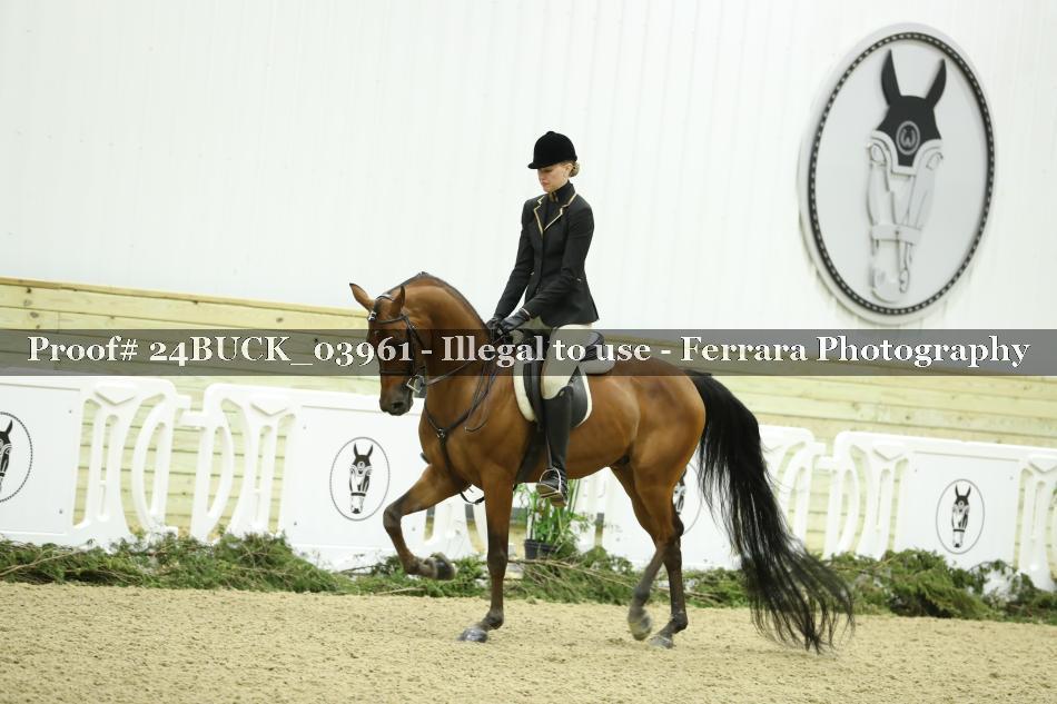 Proof 24BUCK_03961