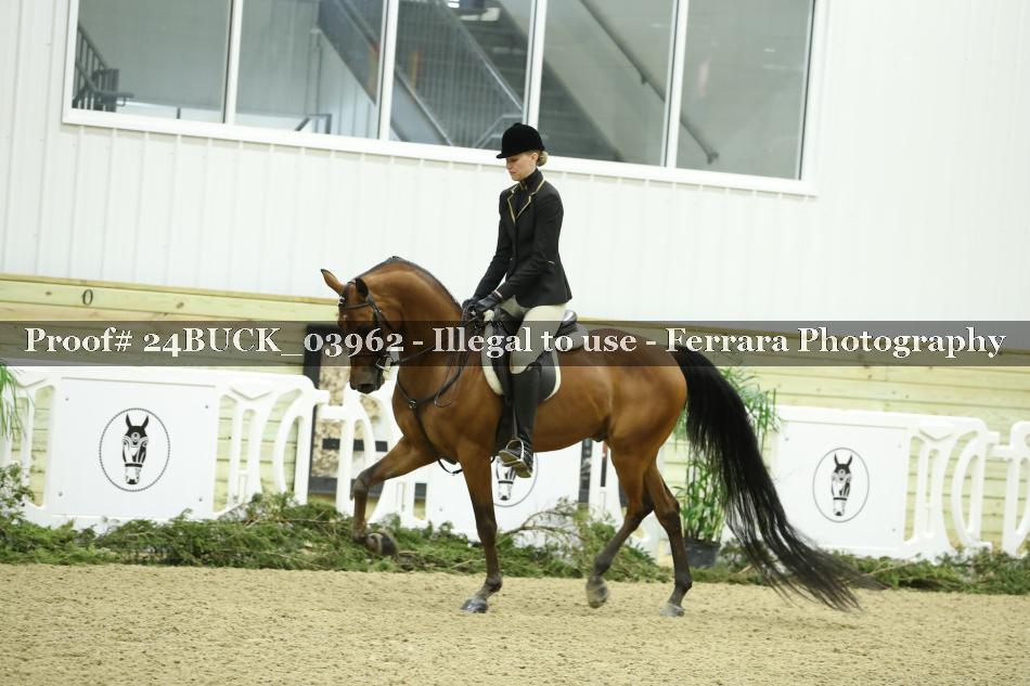 Proof 24BUCK_03962