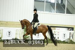 24BUCK_03963 proof
