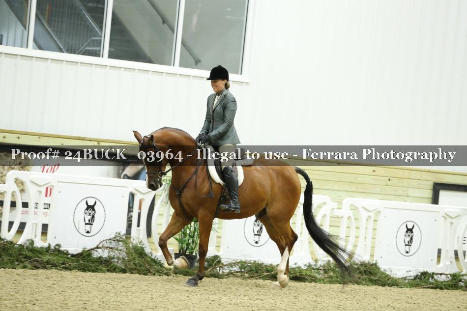 Proof 24BUCK_03964