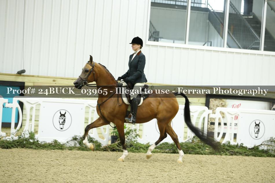 Proof 24BUCK_03965