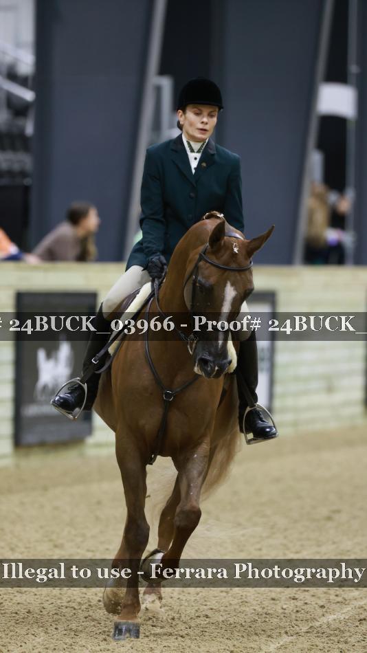 Proof 24BUCK_03966